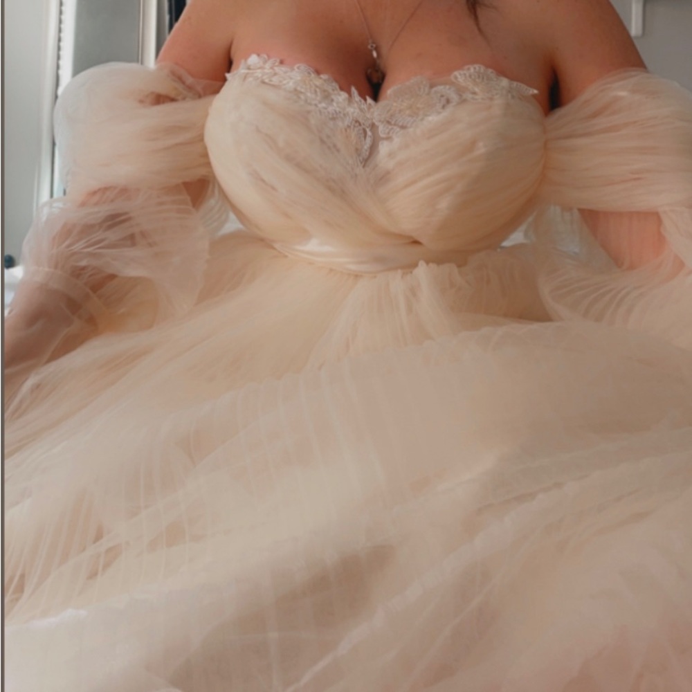 Fairy tale never worn wedding dress